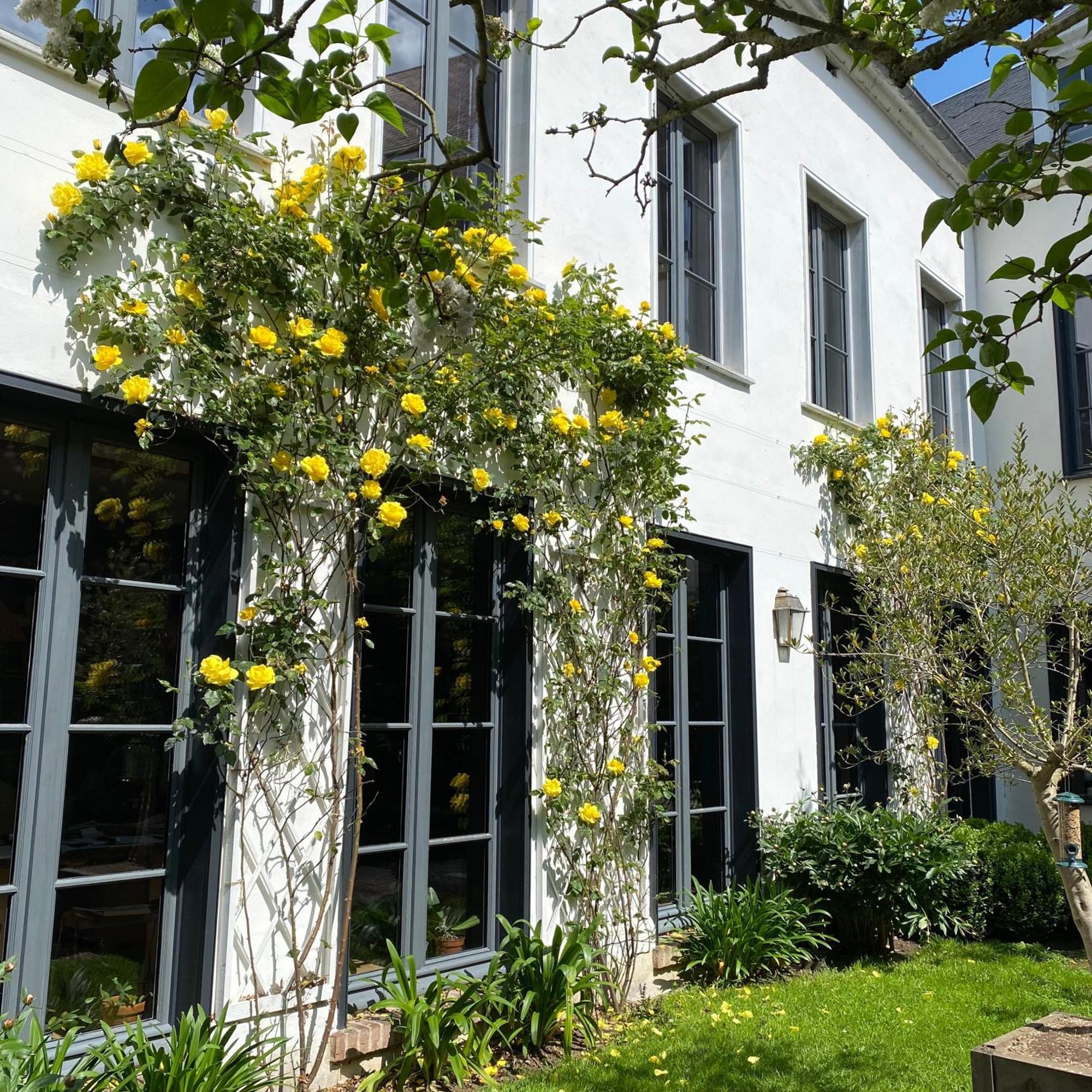 Cote Baie Bed & Breakfast Saint-Valery-sur-Somme Exterior photo